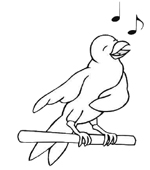 vogel1