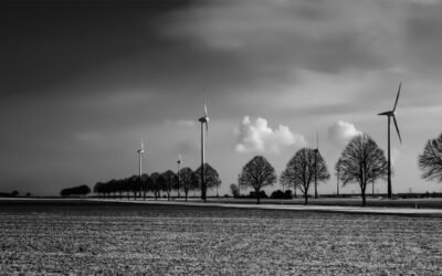 Baustellenbesichtigung Windpark Schülp