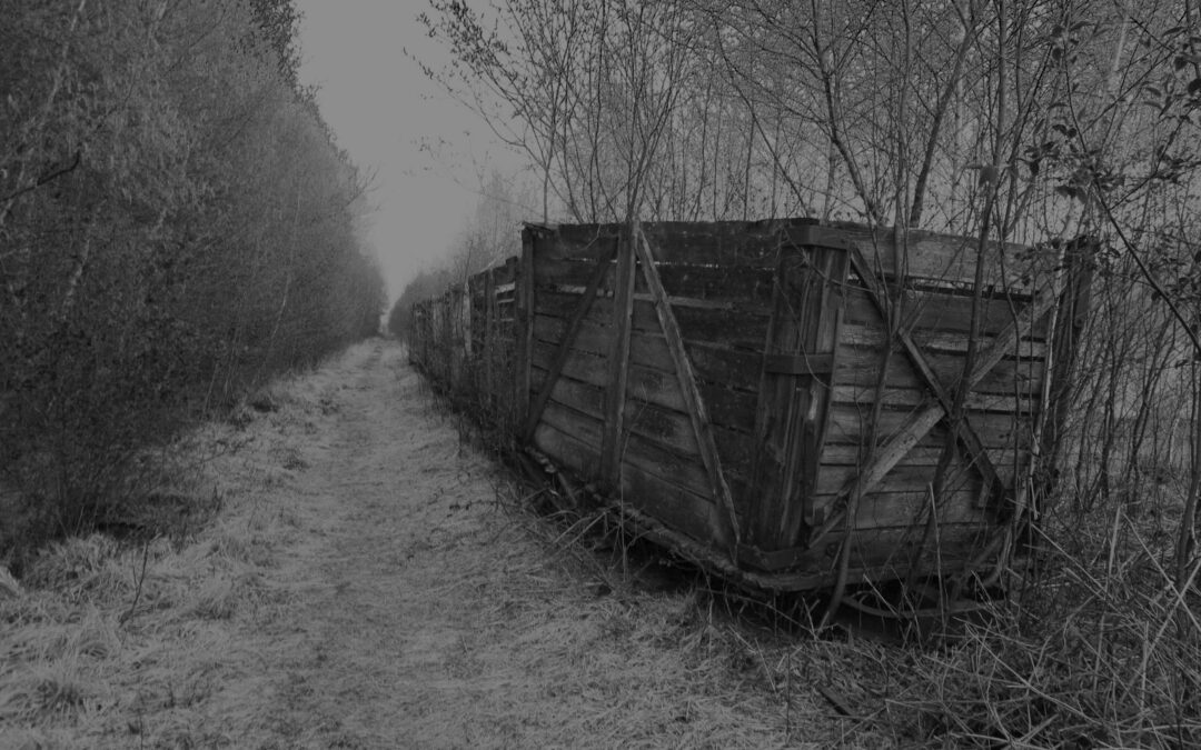 Spurensuche im Himmelmoor
