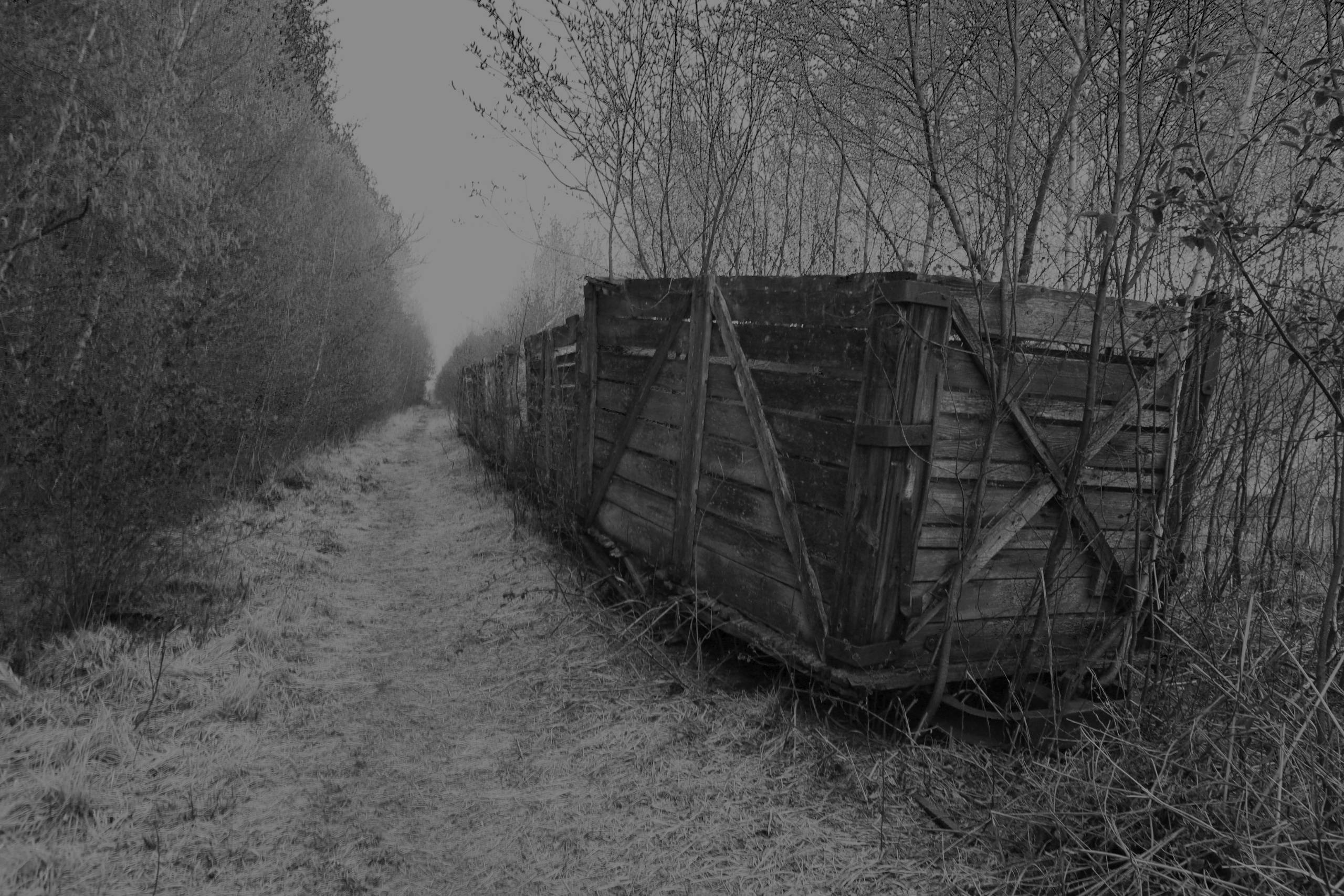 loginbackground-lore.im.moor